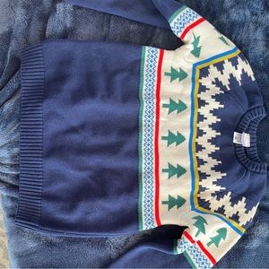 Hanna Andersson holiday sweater